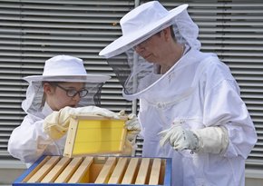 Annika erklärt Geschäftsführerin Dr. Nadine Schmid-Pogarell die Funktion der Rahmen mit Waben.(Foto: Christine Beenken)